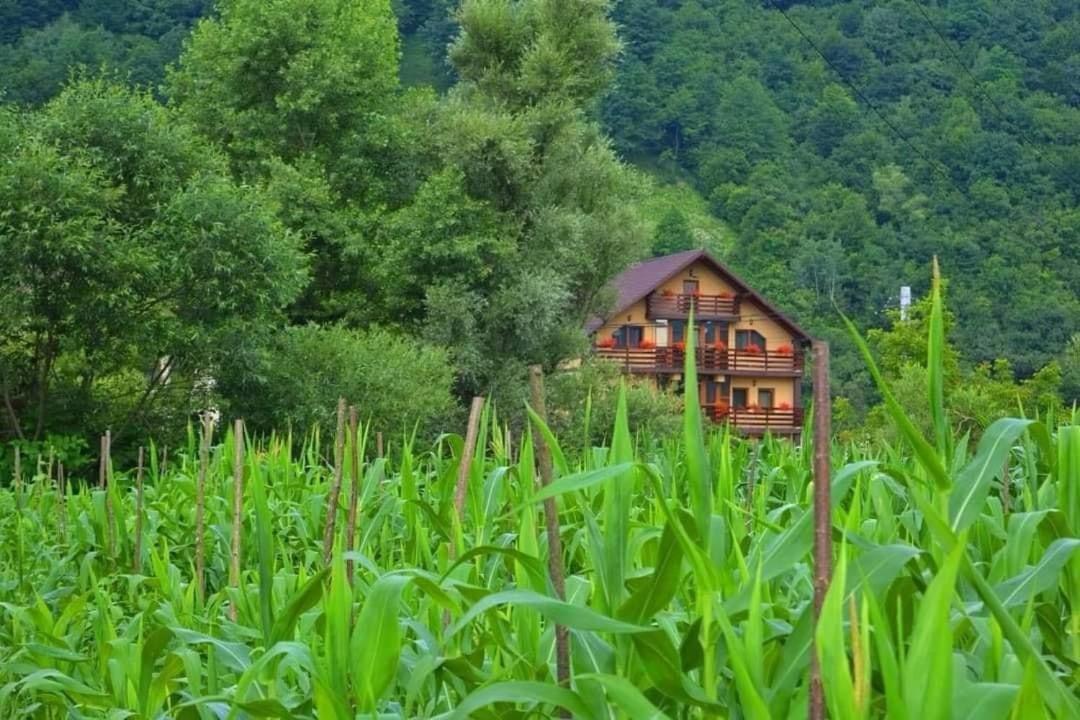 Hotel Casa Vadeanu Sighetu Marmaţiei Exterior foto